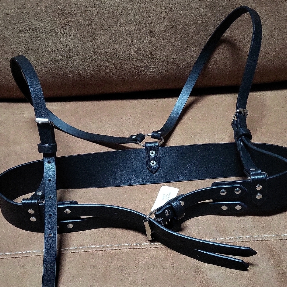 Black Leather Harness
